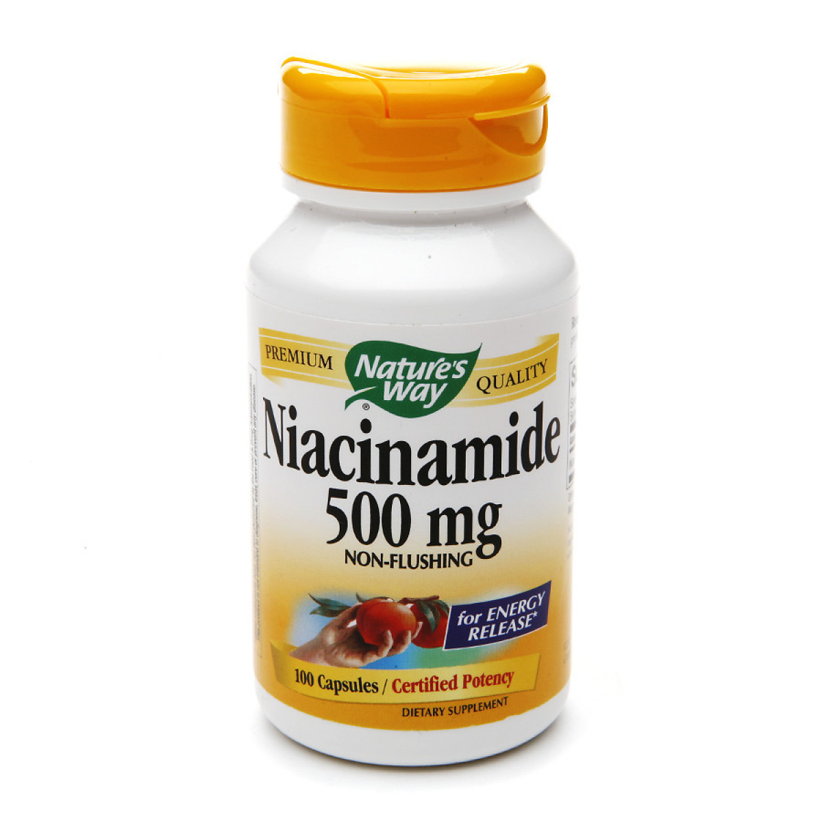 Niacinamide 100