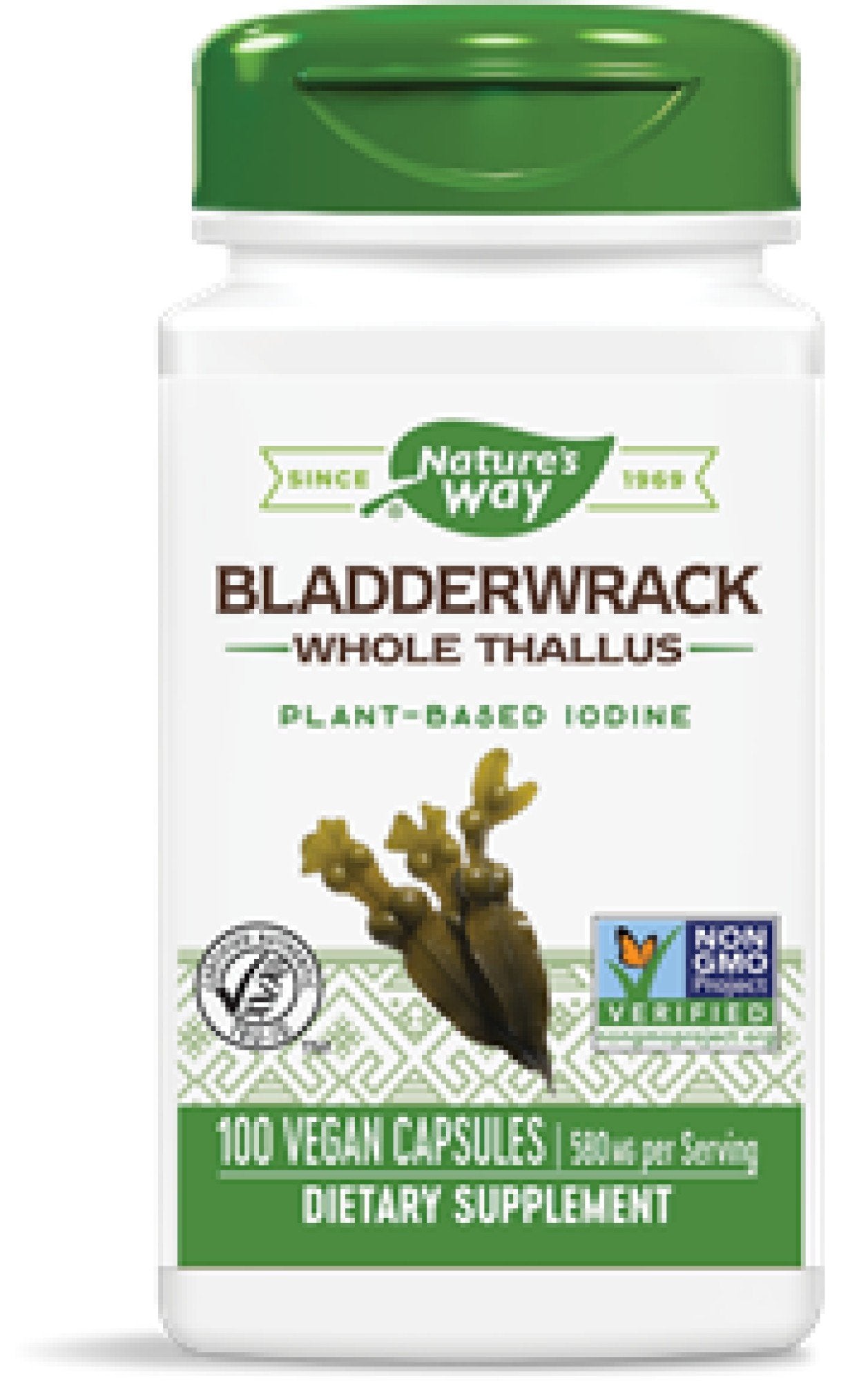 Bladderwrack 100